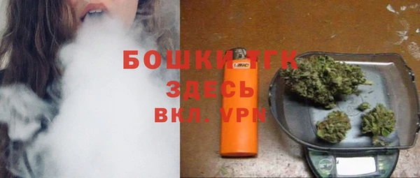дживик Абаза
