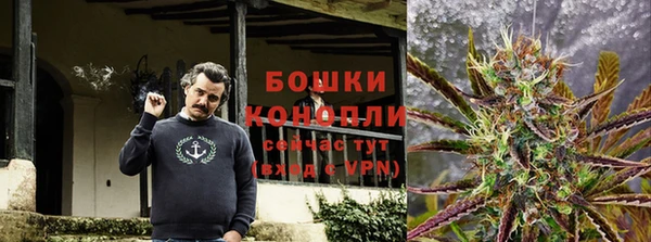 дживик Абаза