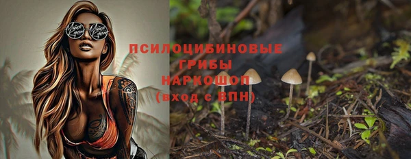 стаф Абдулино