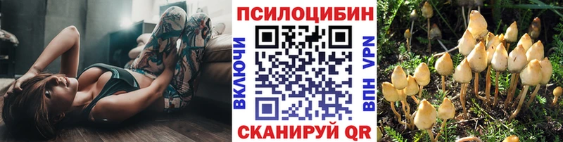 Галлюциногенные грибы ЛСД  Таганрог 